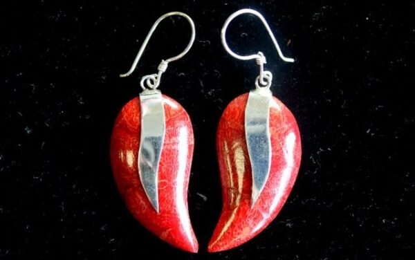 Coral Mangos Silver Earrings - Image 2