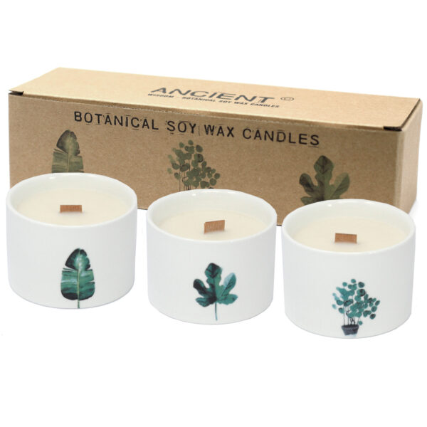 Botanical Wooden Wick Soy Candles - Image 2