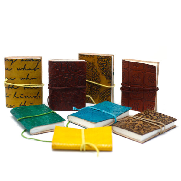 Mini Assorted Leather Notebook