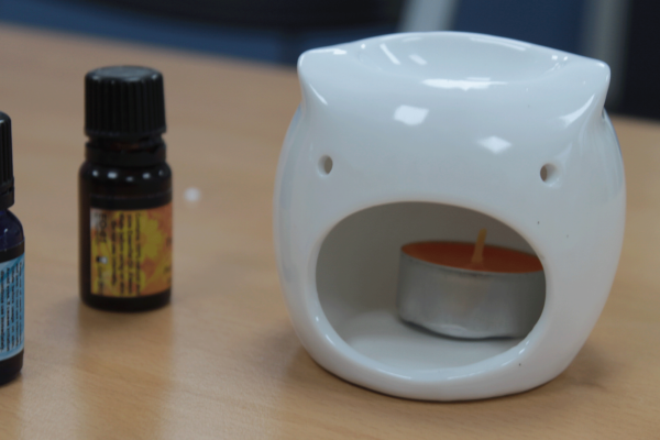 Owl Design White Oil Burners - Image 7