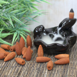 Backflow Incense Cones 225 Pieces