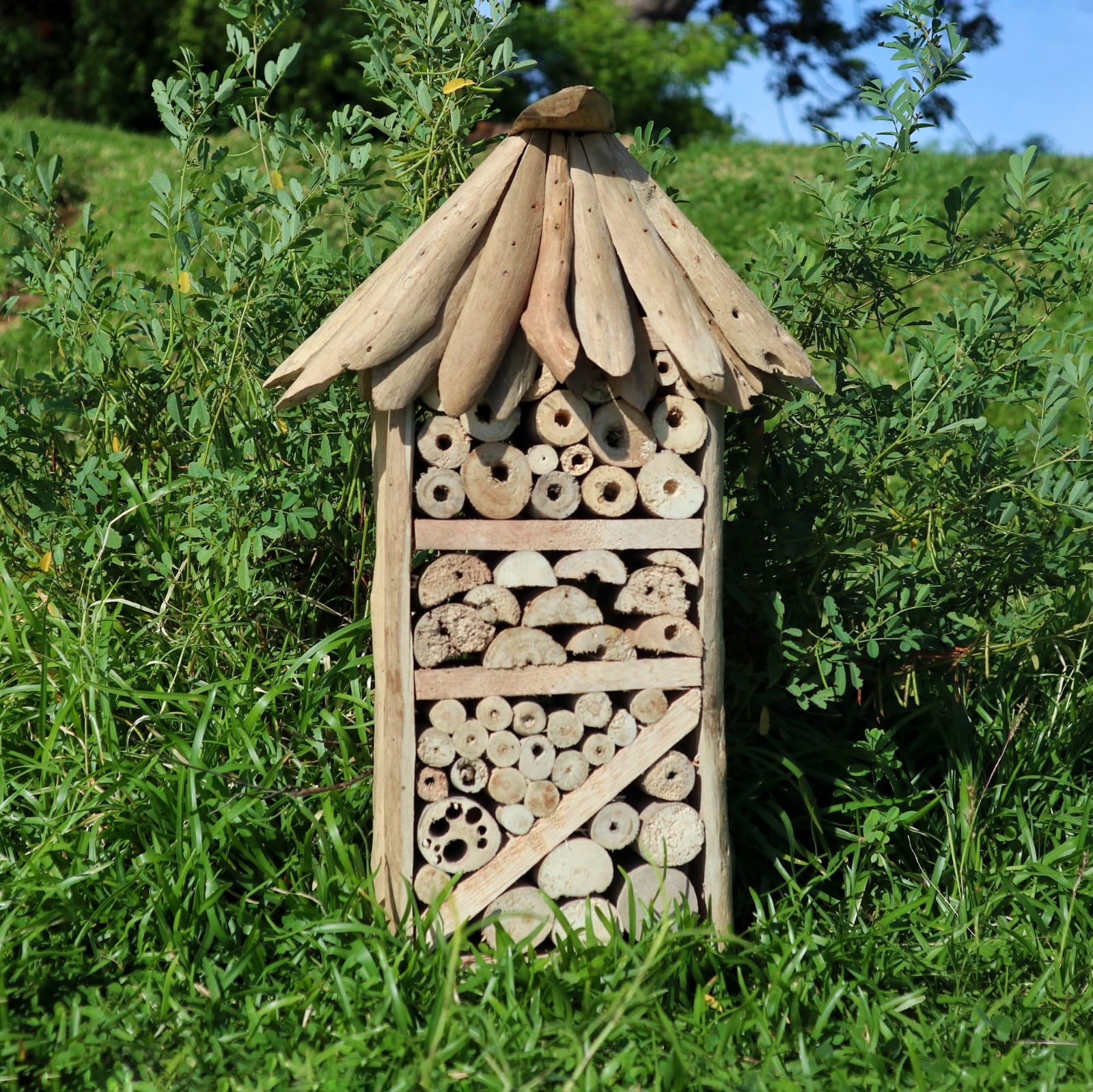 Driftwood Bee & Insect High-rise Box - Image 4