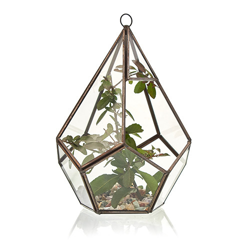 Large Pentagon Glass Terrarium