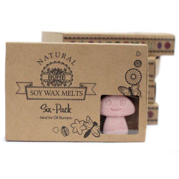 Luxury Soy Wax Melts - Image 7