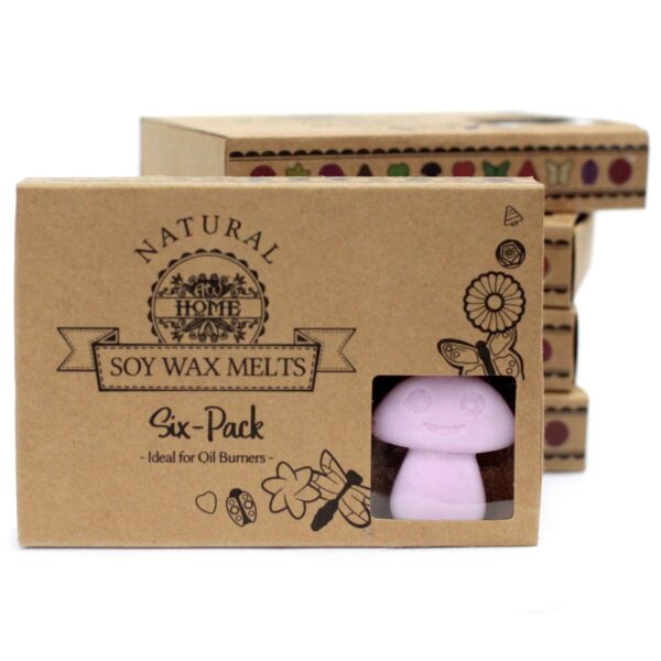 Luxury Soy Wax Melts - Image 8