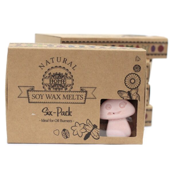 Luxury Soy Wax Melts - Image 14