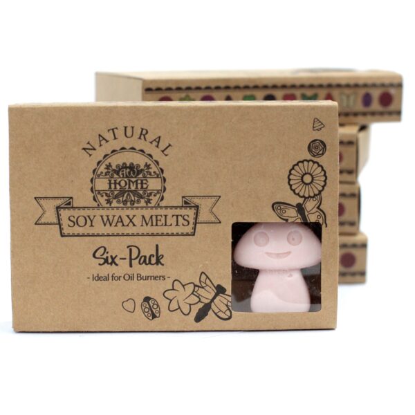 Luxury Soy Wax Melts - Image 18