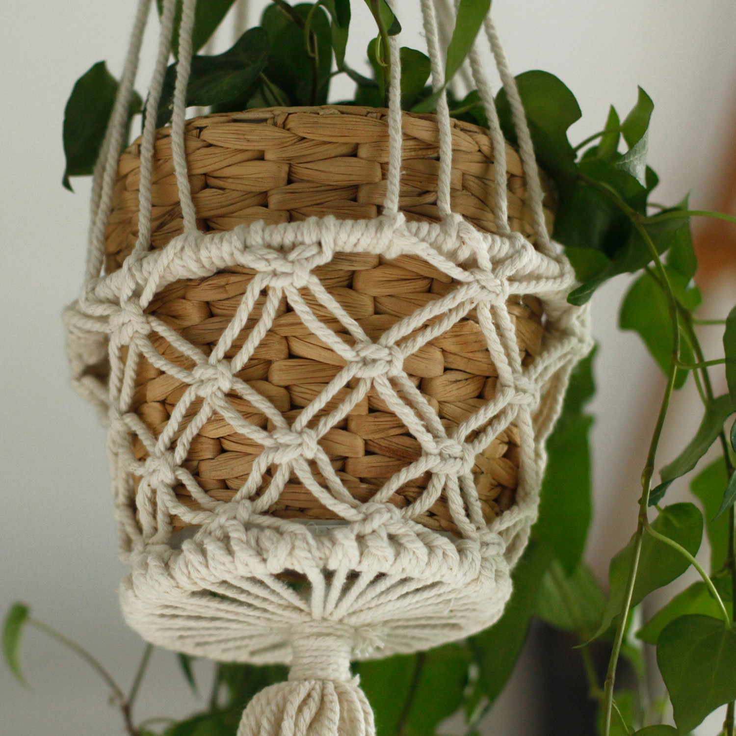Single Small Macramé Pot Holder - Image 4