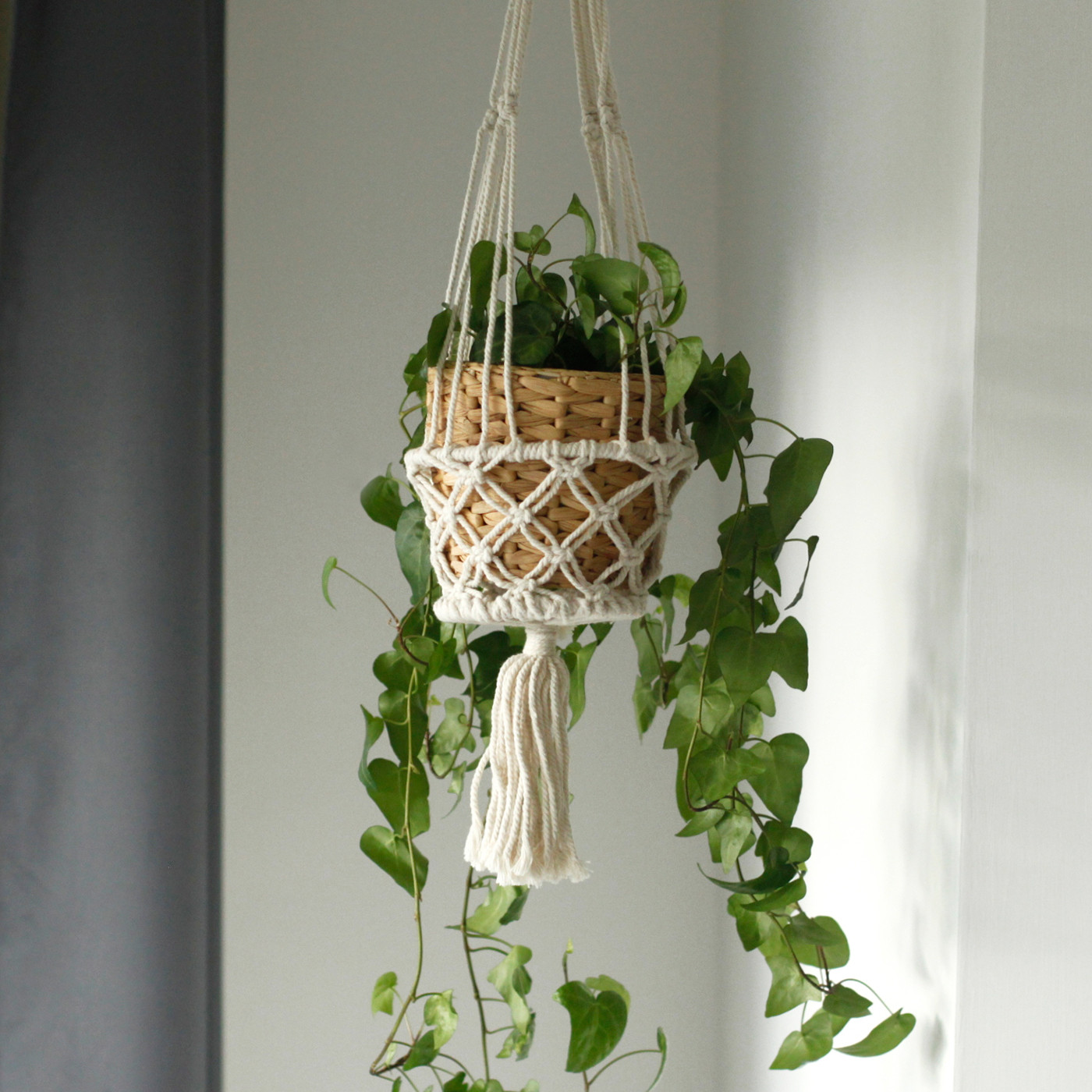 Single Small Macramé Pot Holder - Image 5