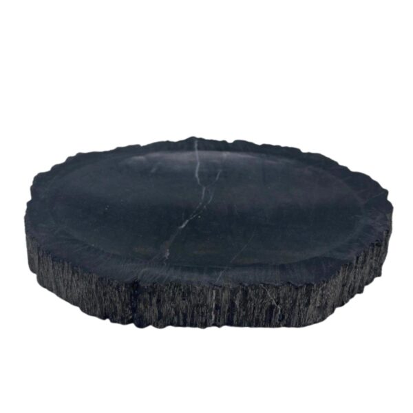 Petrified Wood Black Soap Dish - Image 5