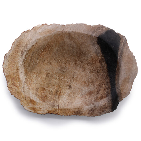 Petrified Wood Black Soap Dish - Image 8