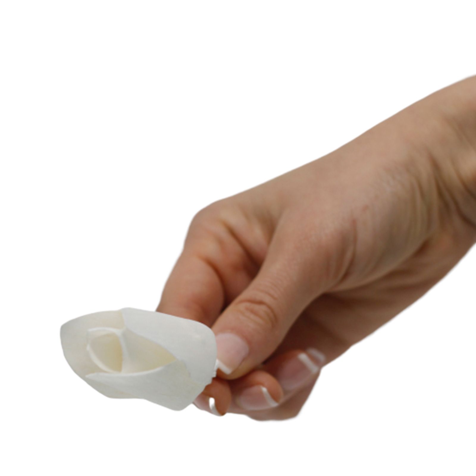 Natural Diffuser Flowers - Tulip on Reed - Image 2