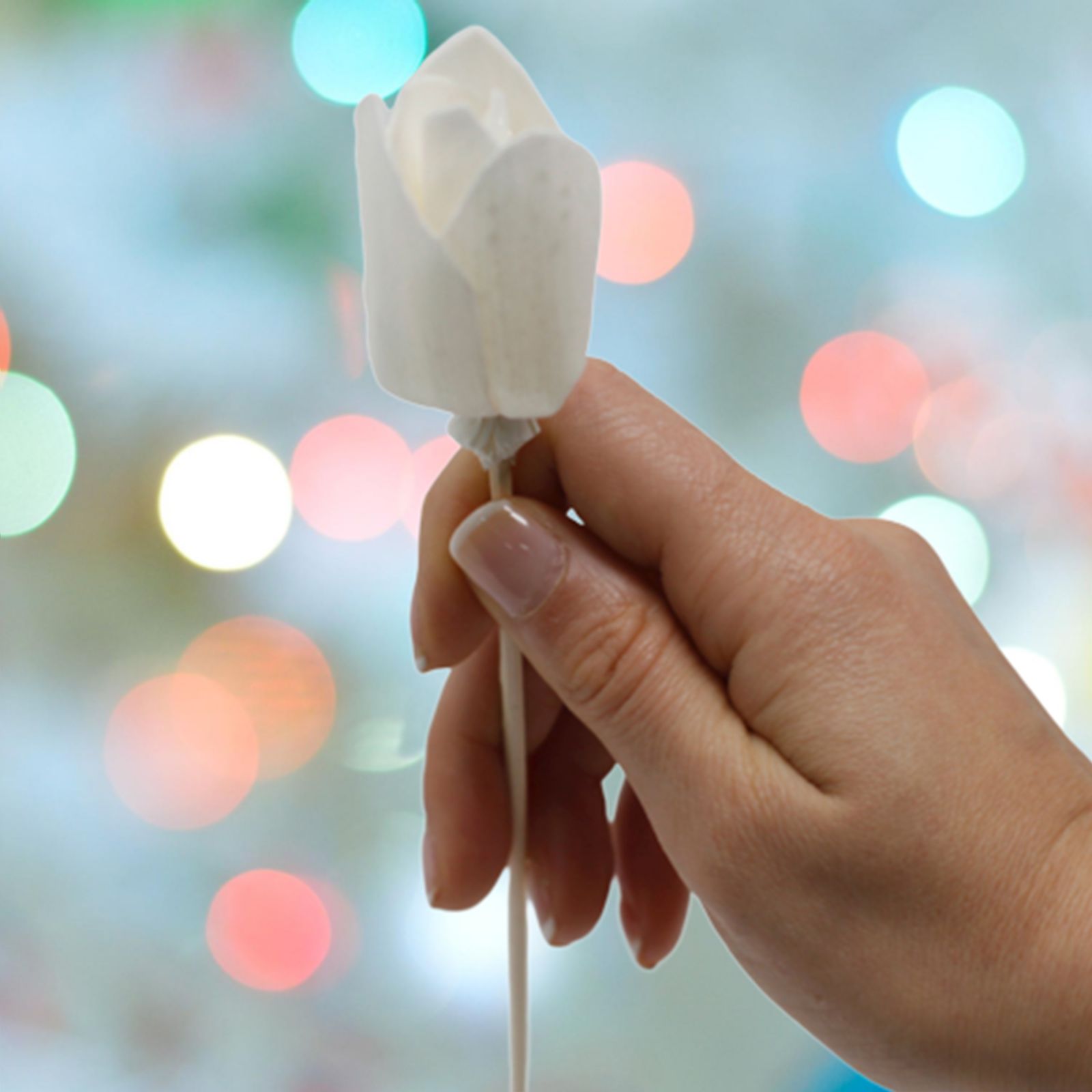 Natural Diffuser Flowers - Tulip on Reed - Image 9