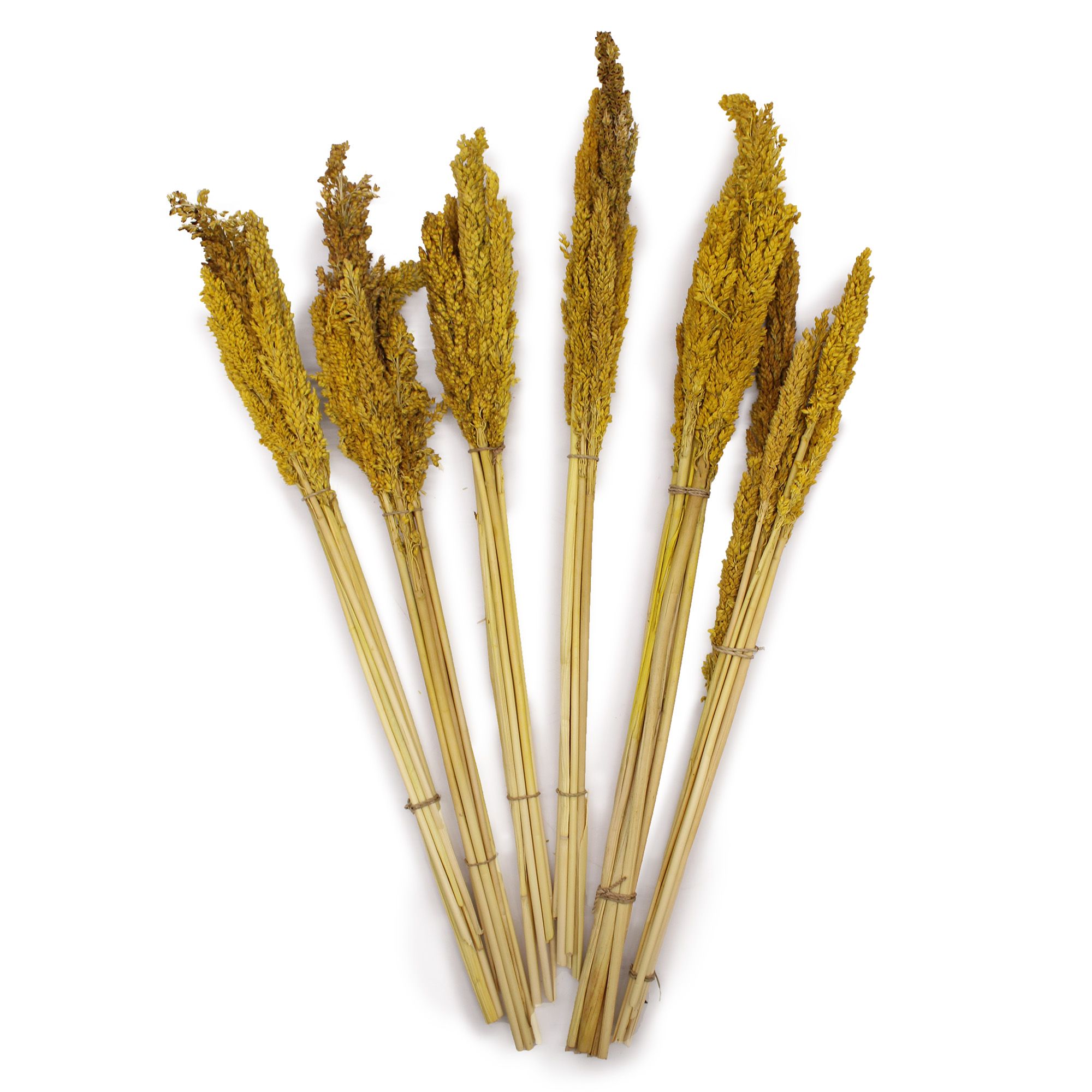 Cantal Grass Bunch - Amber - Image 2