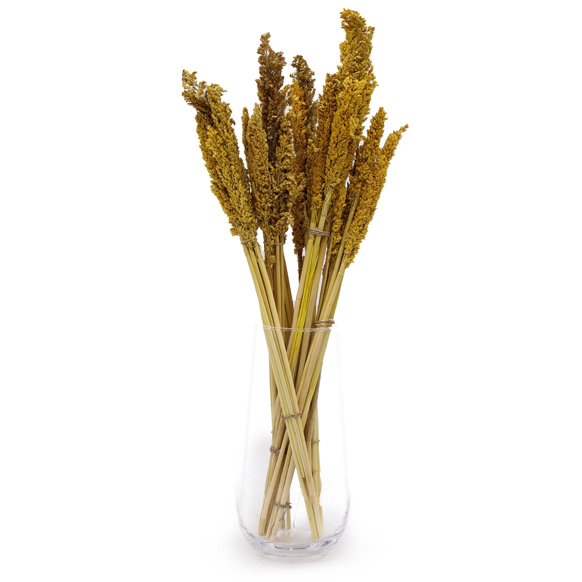 Cantal Grass Bunch - Amber - Image 5