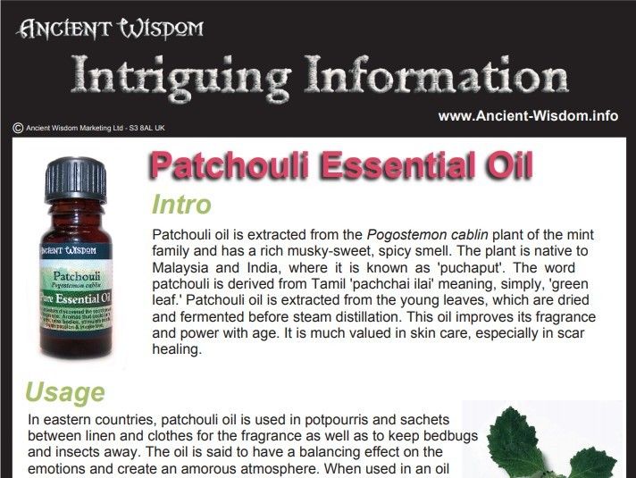 Patchouli Essential Oil Info - Image 2