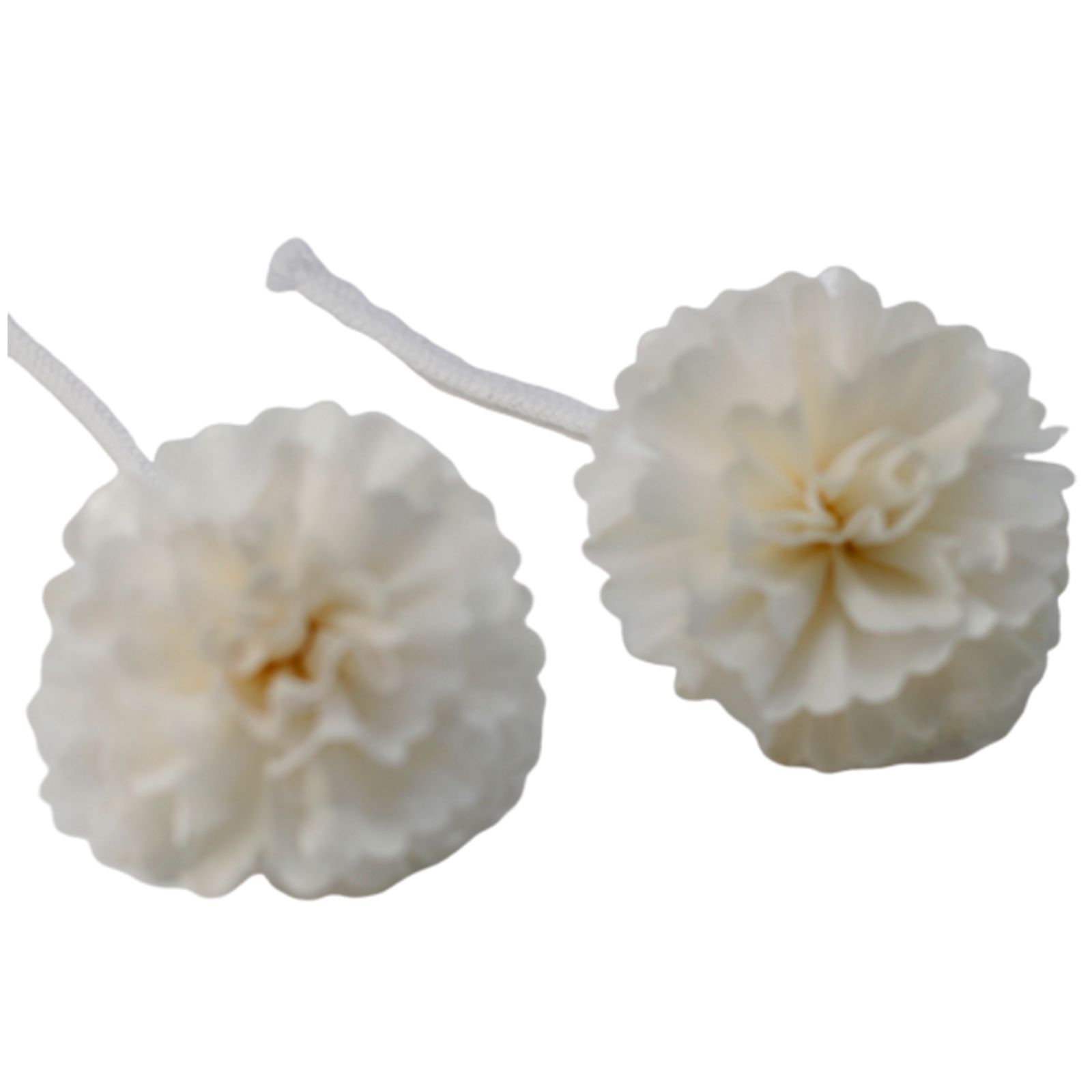 Natural Diffuser Flowers - Med Carnation on String - Image 3