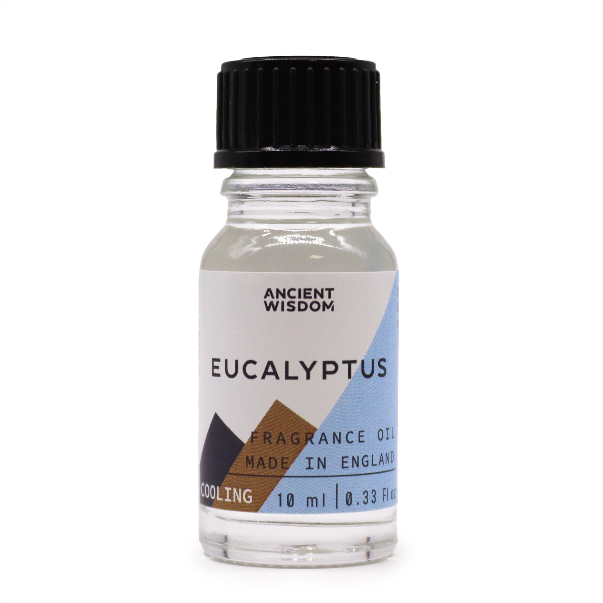 10ml Eucalyptus Fragrance Oil - Image 2