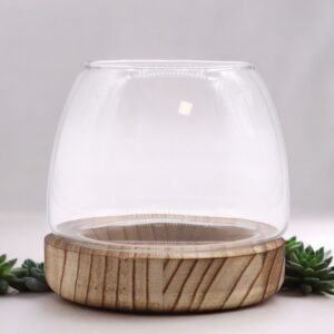 Small Terrarium on Natural Tung Wood