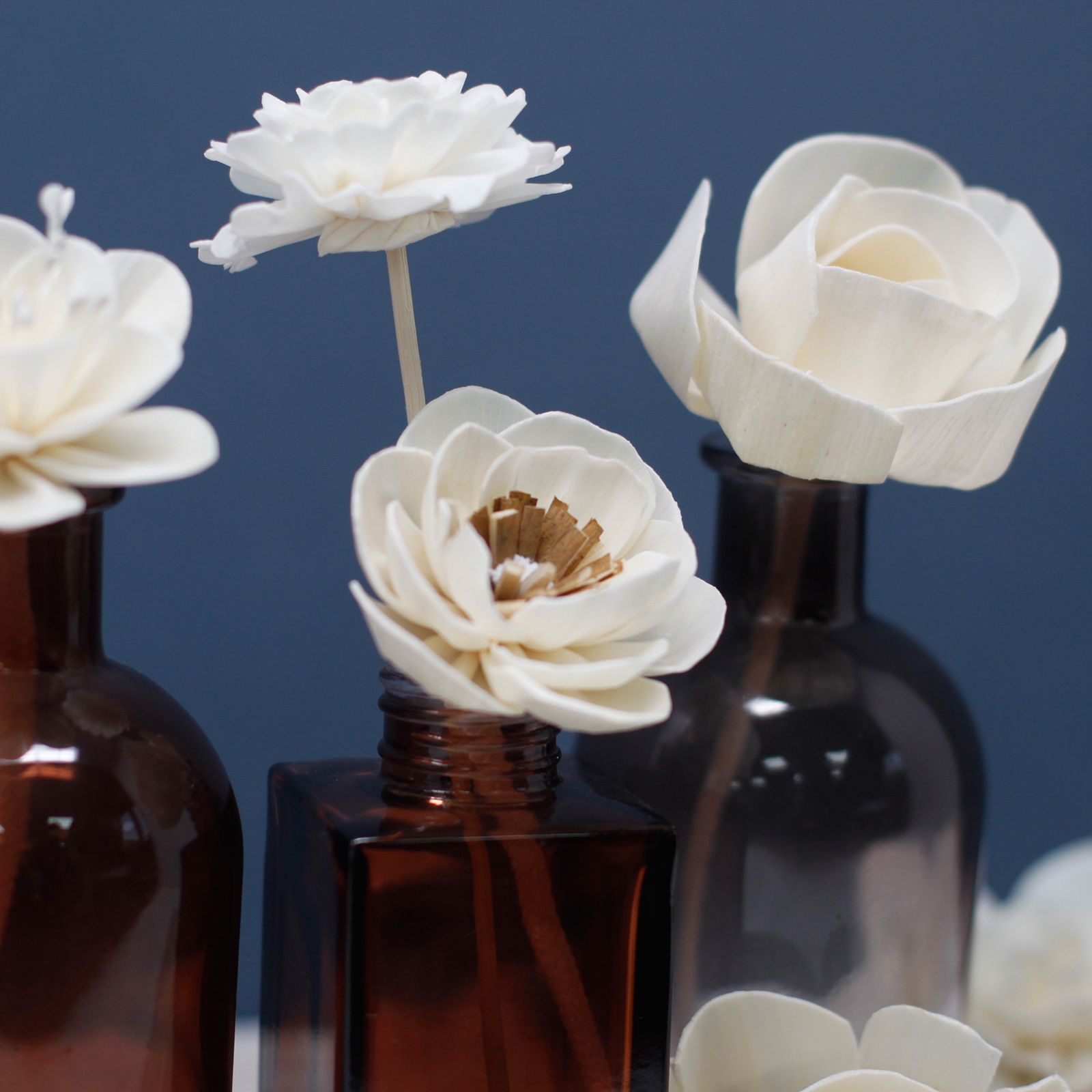 Natural Diffuser Flowers - Small Poppy on String - Image 6