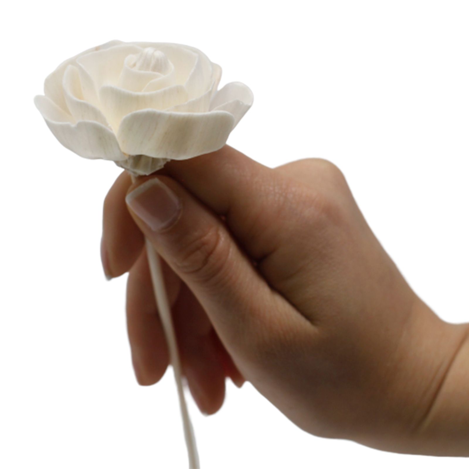 Natural Diffuser Flowers - Rose on Reed - Image 4