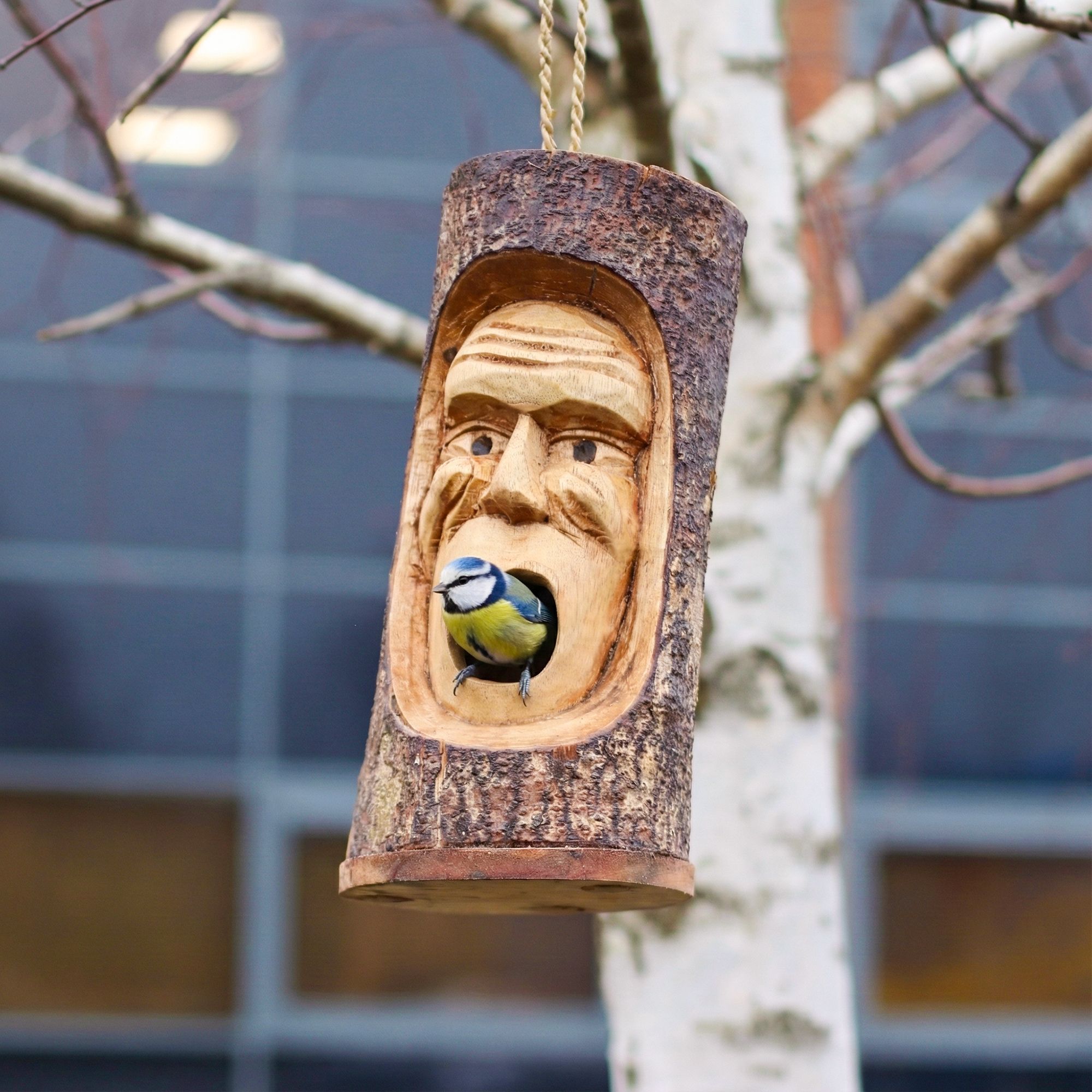 Tree Trunk Face - Bird House - Grumpy Old Man - Image 5