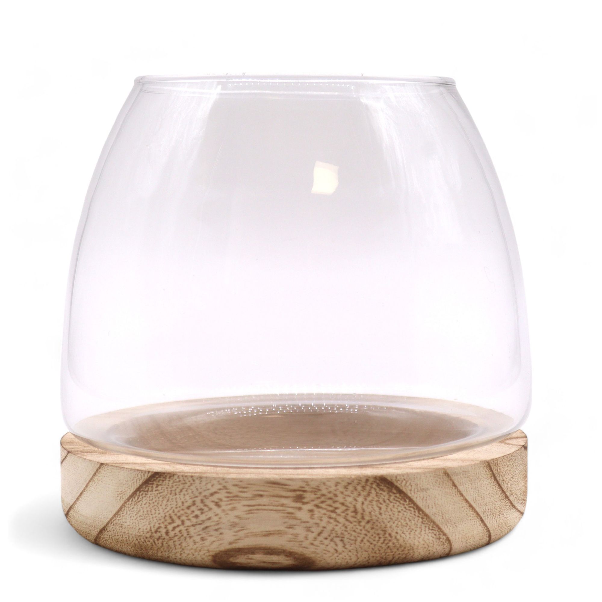 Medium Terrarium on Natural Tung Wood - Image 2