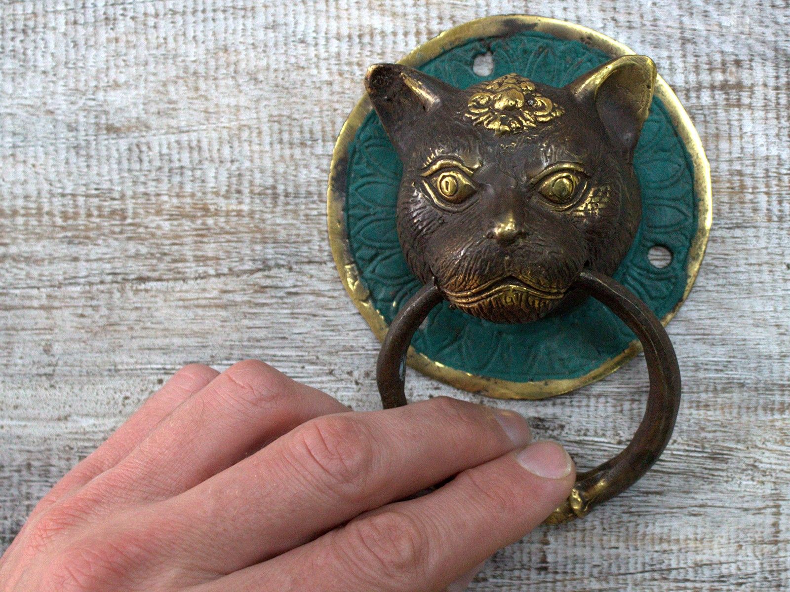 Brass Door Knocker - Tiger Head - Image 3