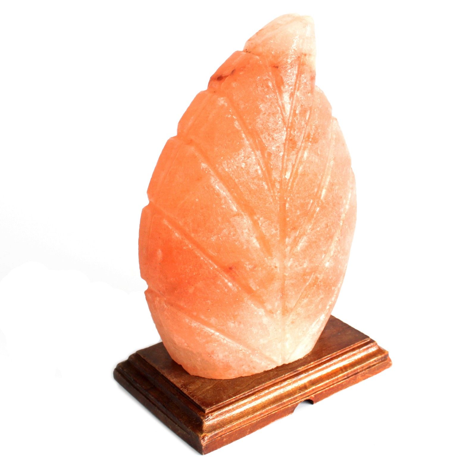 Shape Salt Lamp - Fern - Image 2