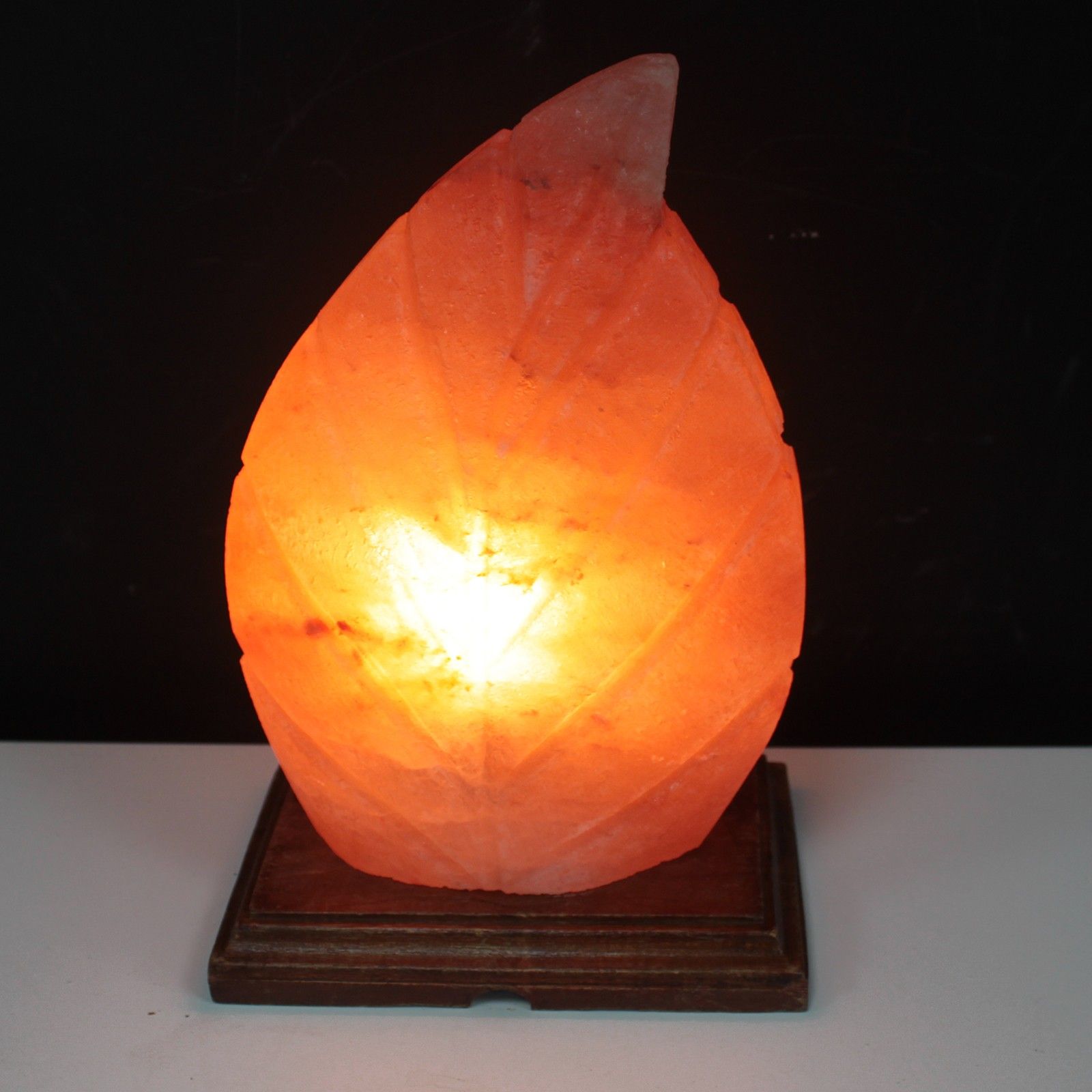 Shape Salt Lamp - Fern - Image 3