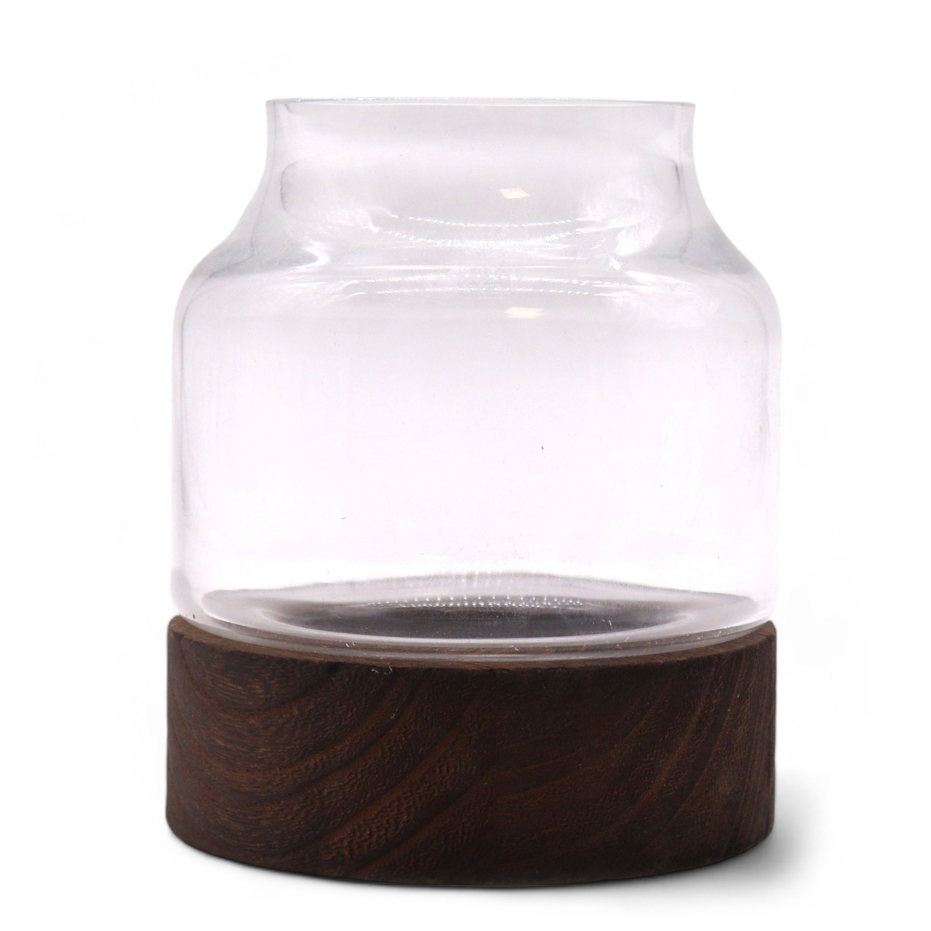 Small Shaped Terrarium on Dark Tung Wood - Image 2