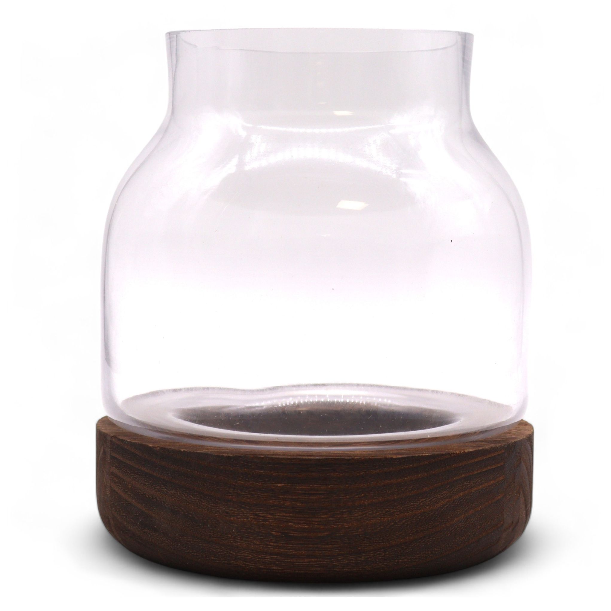 Medium Shaped Terrarium on Dark Tung Wood - Image 2