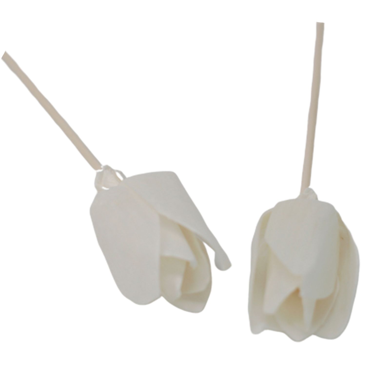 Natural Diffuser Flowers - Tulip on Reed - Image 8