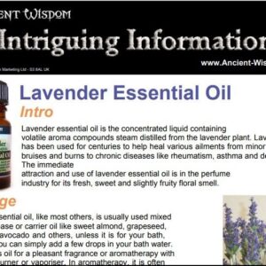 Lavender Essential Oil Info