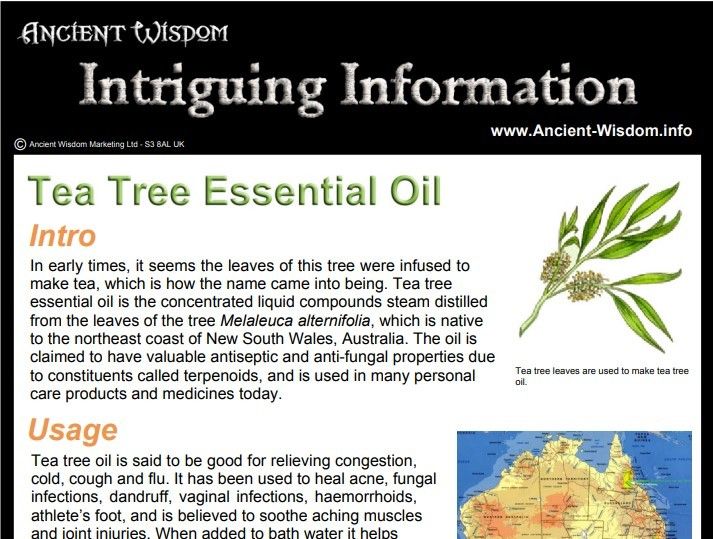 Tea Tree Essential Oil Info - Image 2