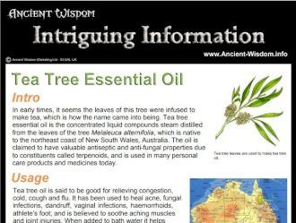 Tea Tree Essential Oil Info