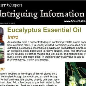 Eucalyptus Essential Oil Info