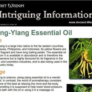Ylang Ylang Essential Oil Info