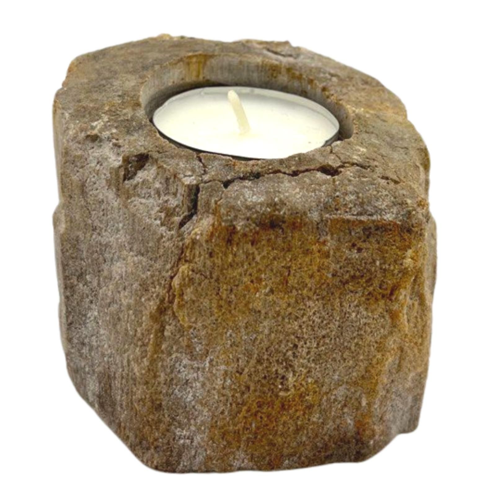Petrified Wood Candle Holder - Single Low - Image 2