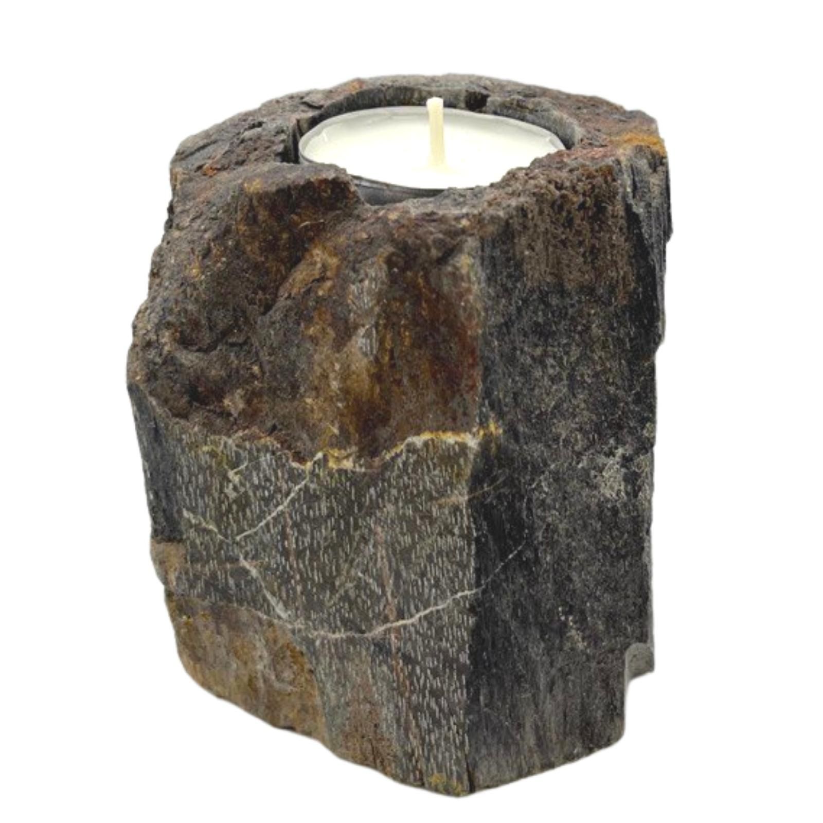 Petrified Wood Candle Holder - Single Low - Image 3