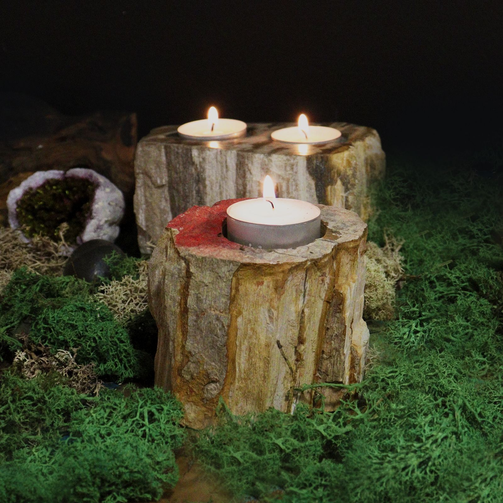 Petrified Wood Candle Holder - Single Low - Image 5