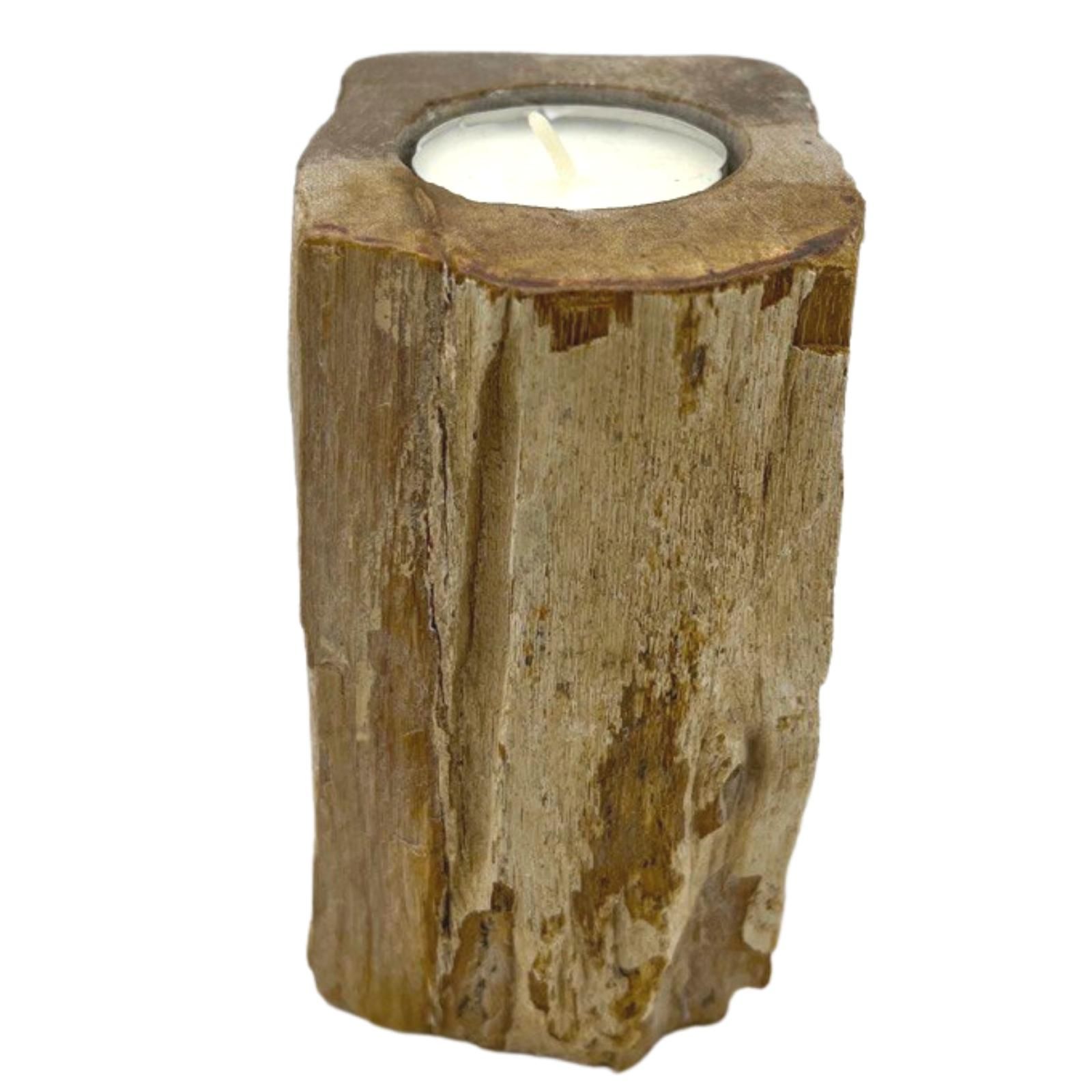 Petrified Wood Candle Holder - Single Tall - Image 2