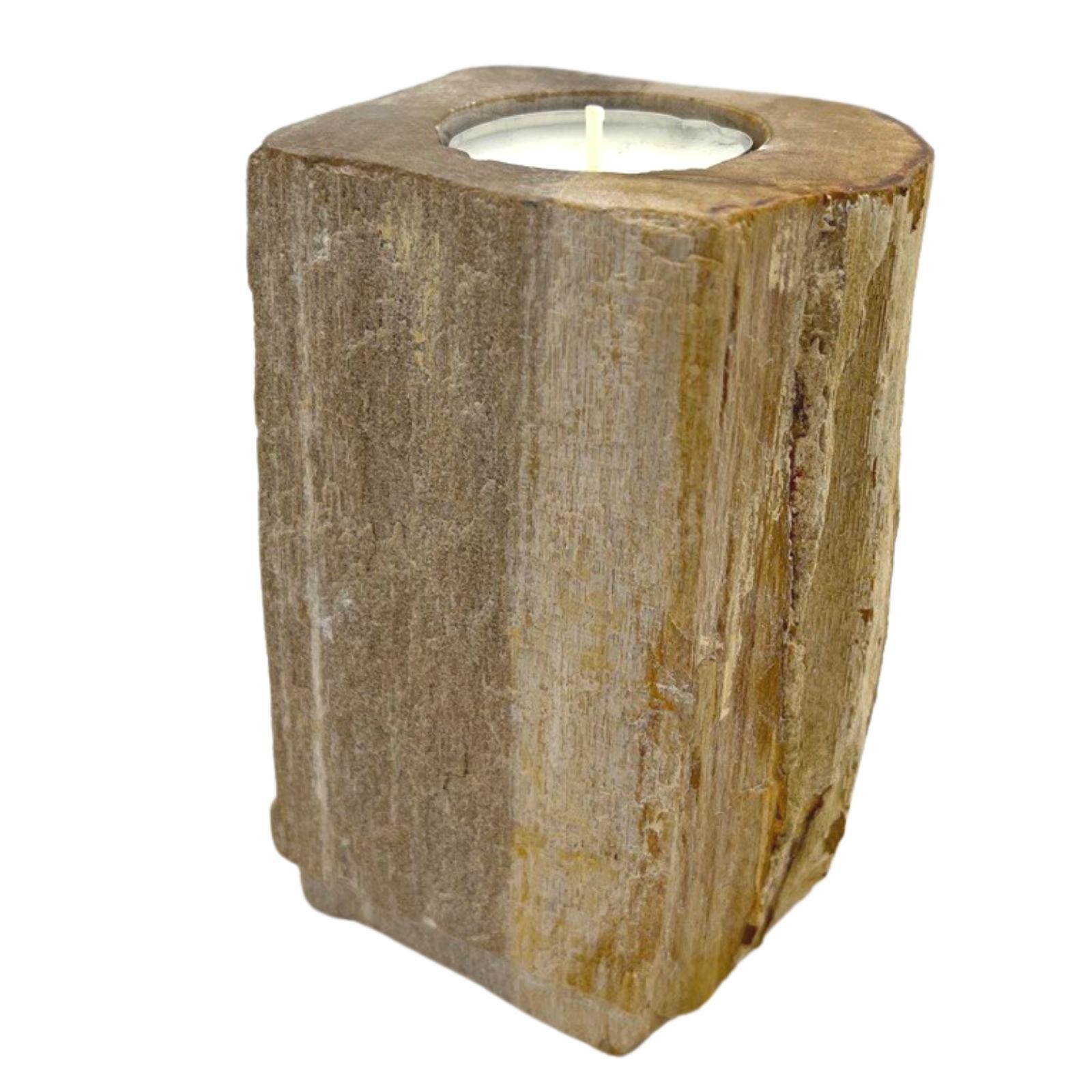 Petrified Wood Candle Holder - Single Tall - Image 3