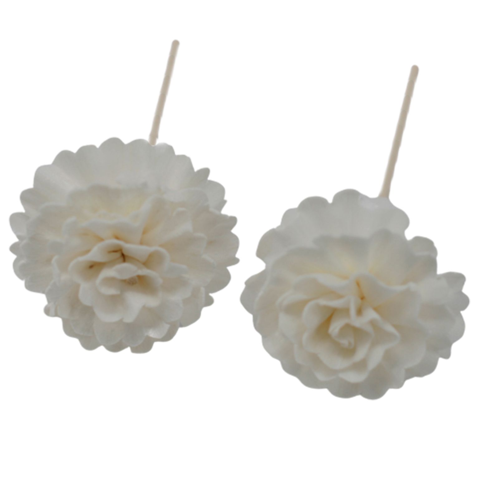 Natural Diffuser Flowers - Carnation on Reed - Image 3