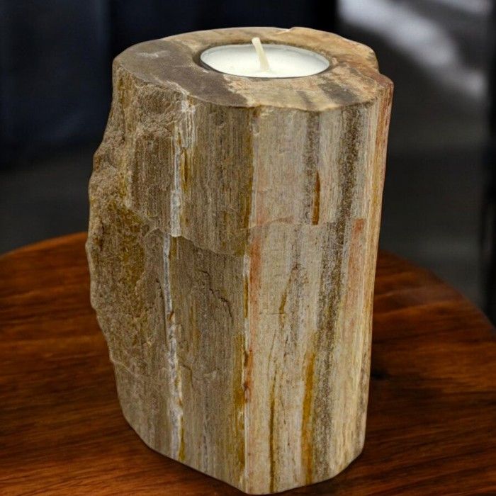 Petrified Wood Candle Holder - Single Tall - Image 5