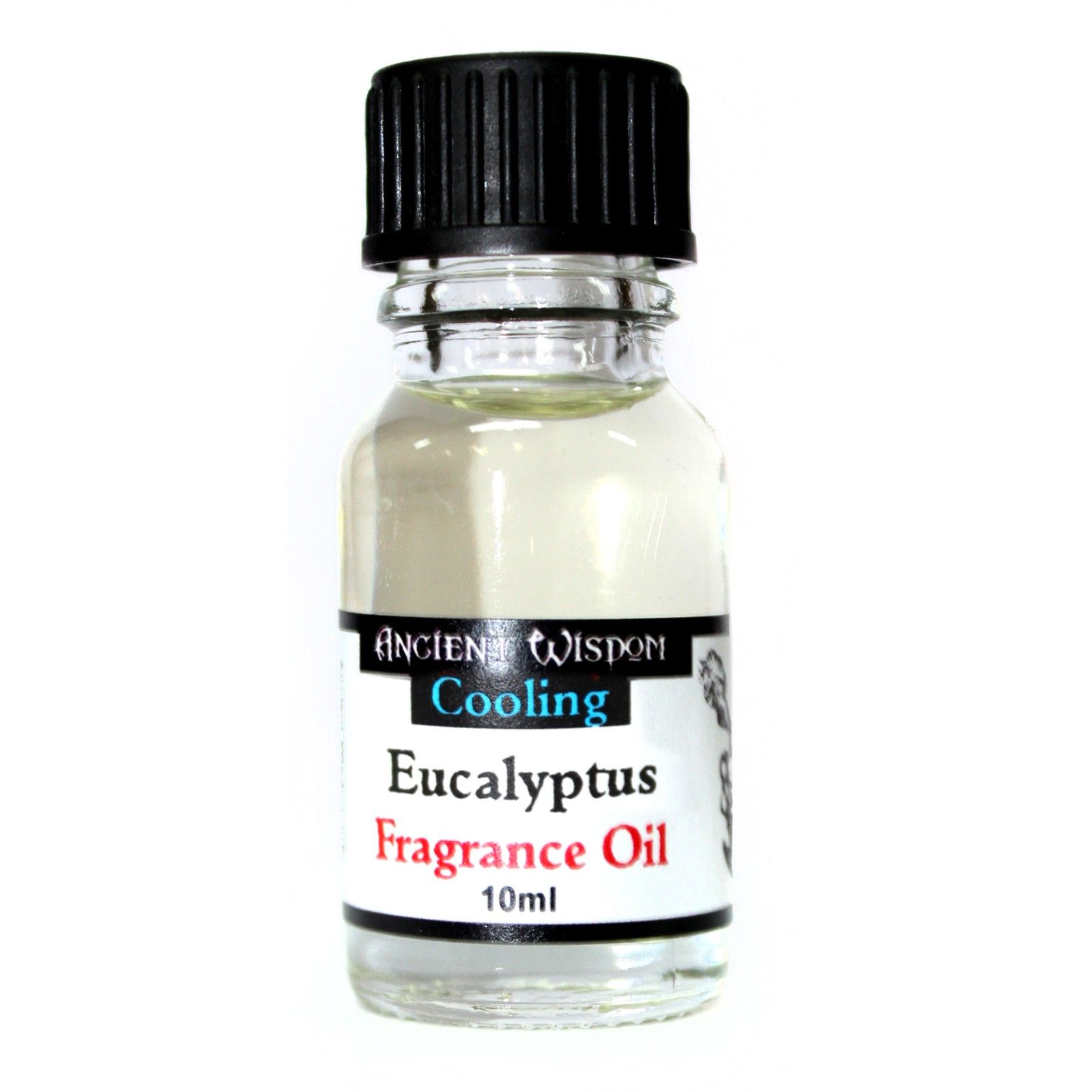 10ml Eucalyptus Fragrance Oil - Image 3
